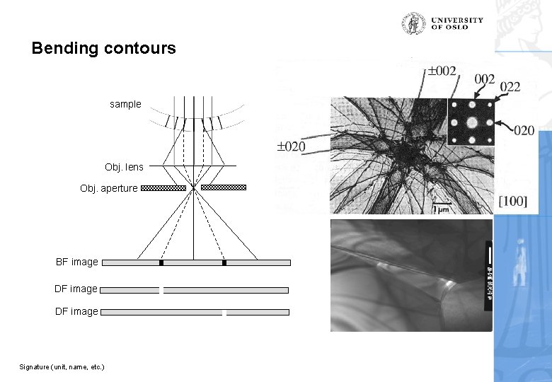 Bending contours sample Obj. lens Obj. aperture BF image DF image Signature (unit, name,