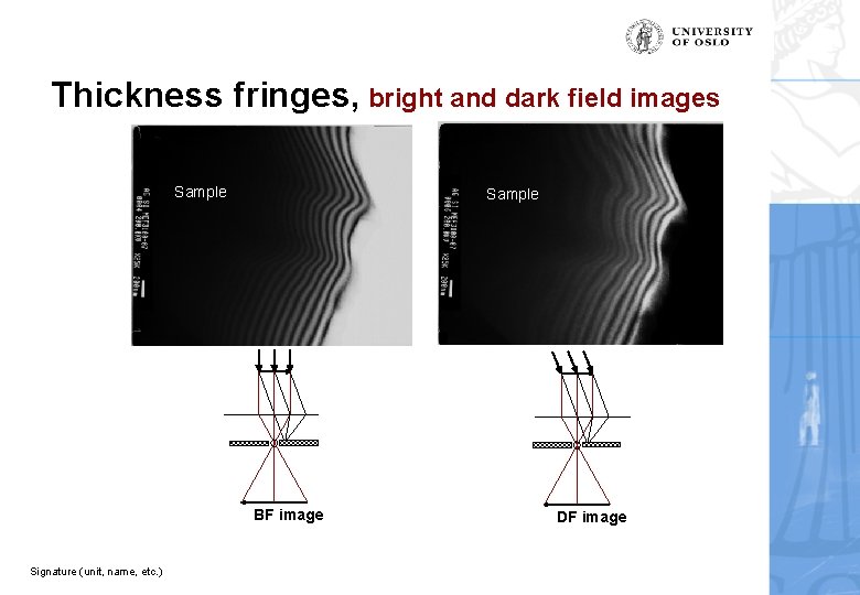 Thickness fringes, bright and dark field images Sample BF image Signature (unit, name, etc.