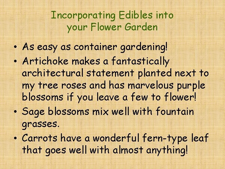 Incorporating Edibles into your Flower Garden • As easy as container gardening! • Artichoke