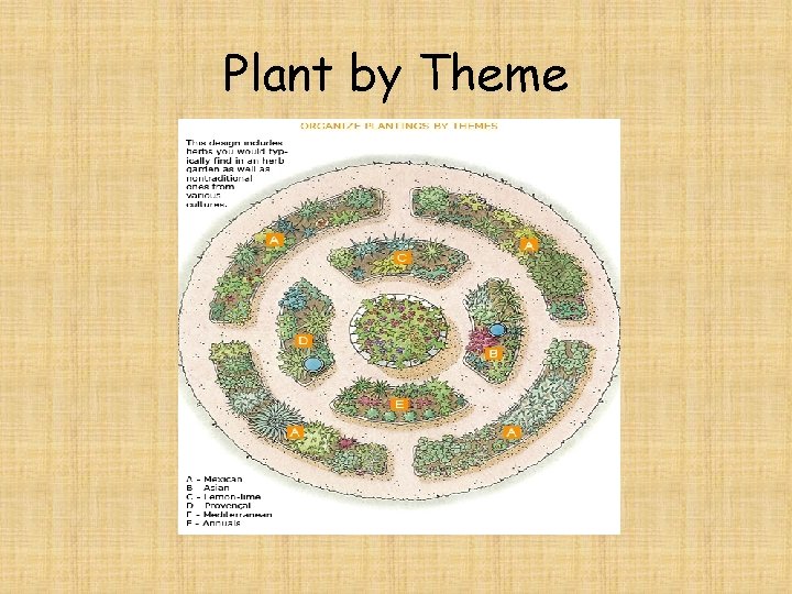 Plant by Theme 