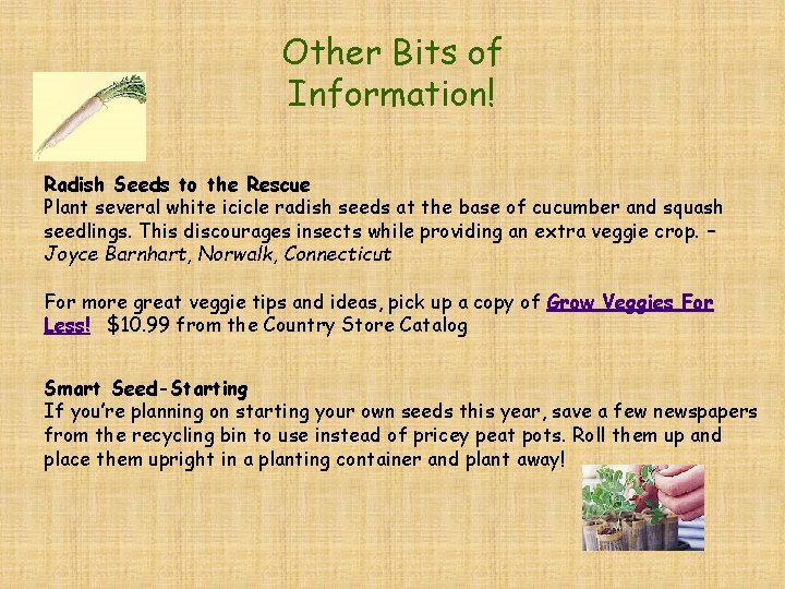 Other Bits of Information! Radish Seeds to the Rescue Plant several white icicle radish