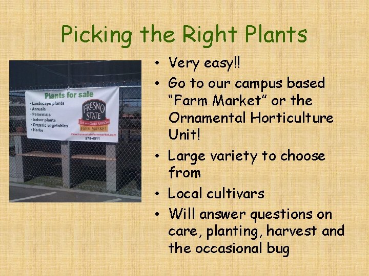 Picking the Right Plants • Very easy!! • Go to our campus based “Farm