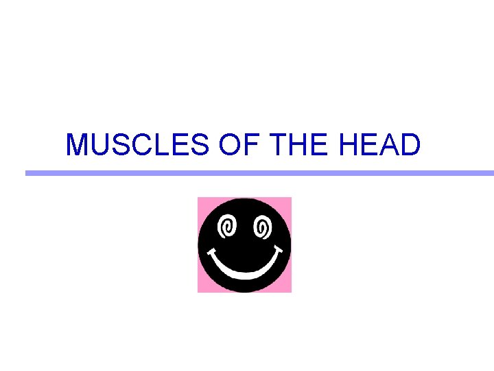 MUSCLES OF THE HEAD 