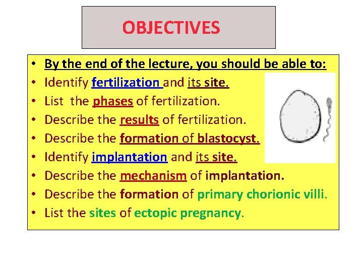 OBJECTIVES • • • By the end of the lecture, you should be able