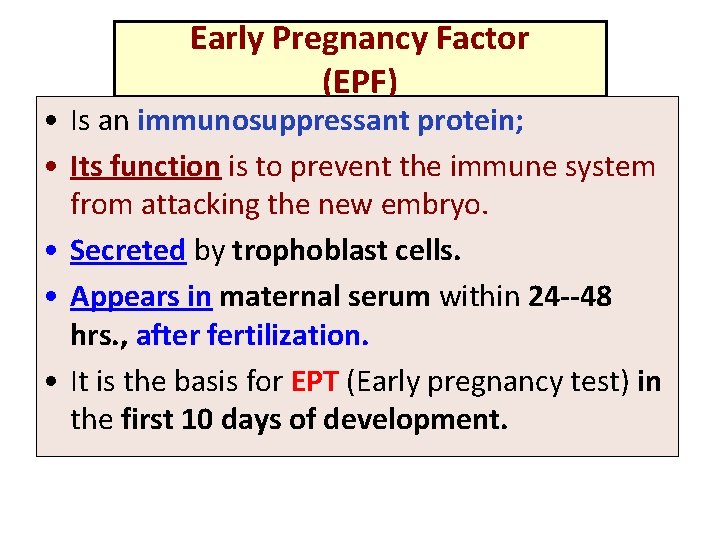 Early Pregnancy Factor (EPF) • Is an immunosuppressant protein; • Its function is to