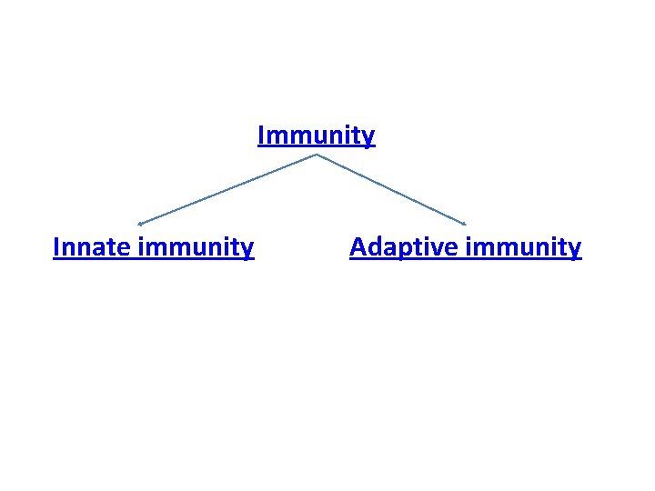 Immunity Innate immunity Adaptive immunity 