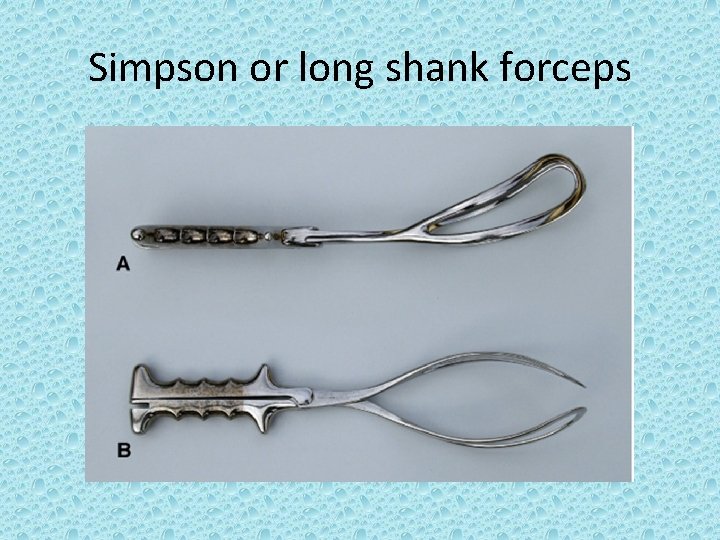 Simpson or long shank forceps 