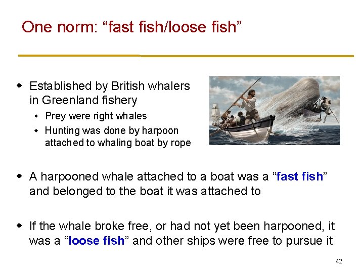 One norm: “fast fish/loose fish” w Established by British whalers in Greenland fishery Prey