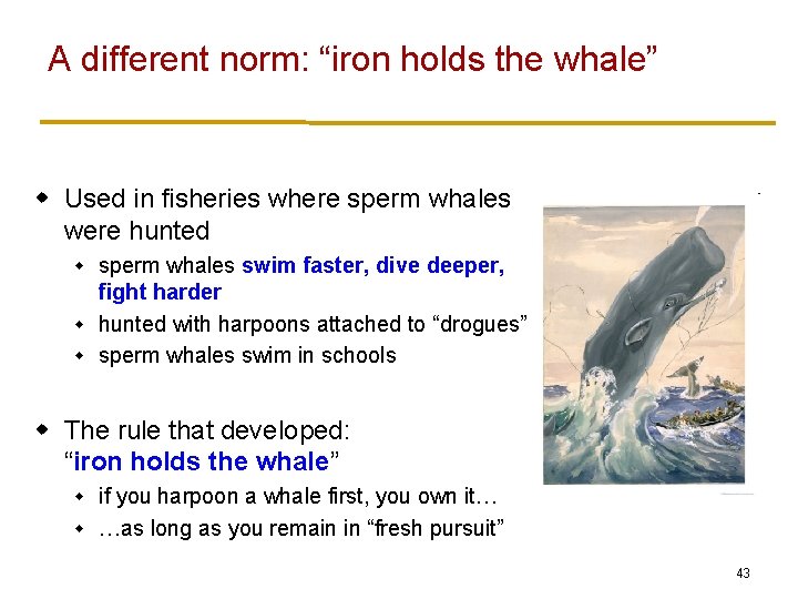 A different norm: “iron holds the whale” w Used in fisheries where sperm whales