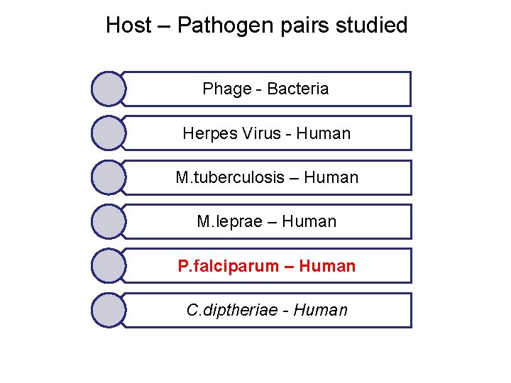 Host – Pathogen pairs studied Phage - Bacteria Herpes Virus - Human M. tuberculosis