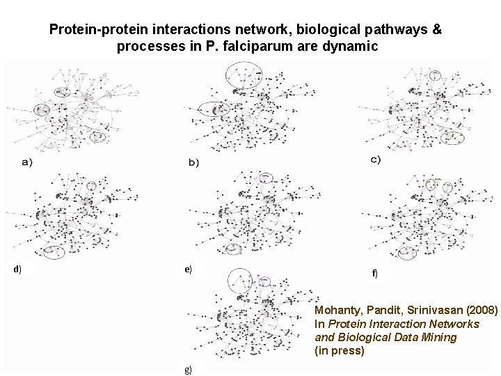 Protein-protein interactions network, biological pathways & processes in P. falciparum are dynamic d) e)