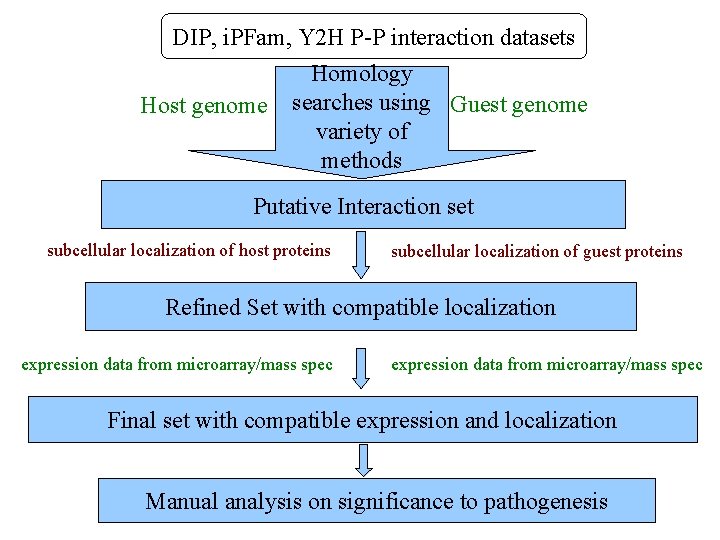 DIP, i. PFam, Y 2 H P-P interaction datasets Host genome Homology searches using