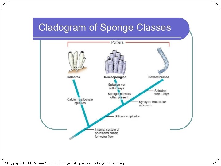 Copyright © 2008 Pearson Education, Inc. , publishing as Pearson Benjamin Cummings 