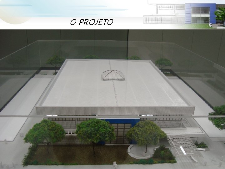  O PROJETO 