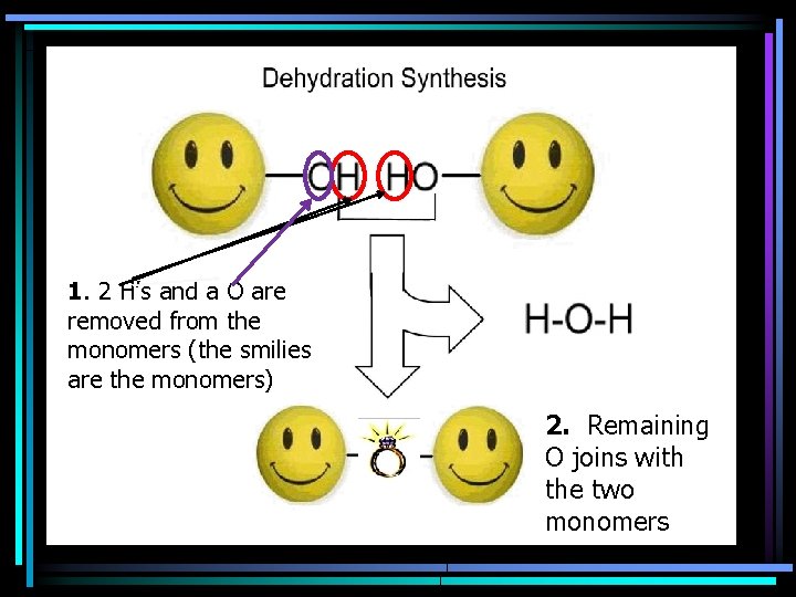 1. 2 H’s and a O are removed from the monomers (the smilies are