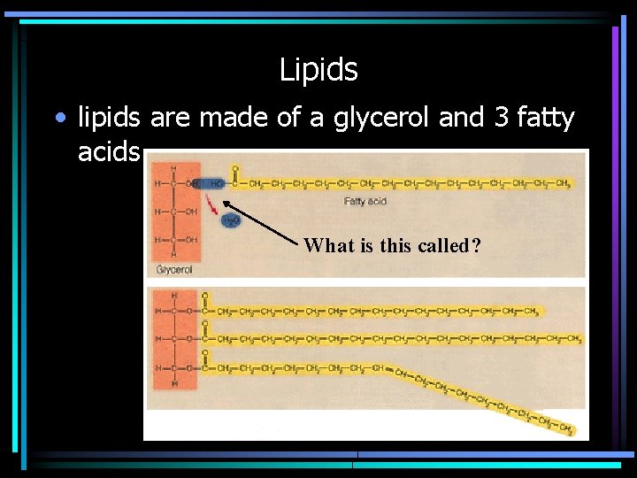 Lipids • lipids are made of a glycerol and 3 fatty acids What is