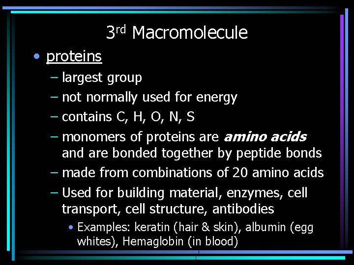 3 rd Macromolecule • proteins – largest group – not normally used for energy