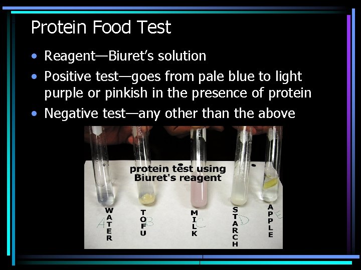 Protein Food Test • Reagent—Biuret’s solution • Positive test—goes from pale blue to light