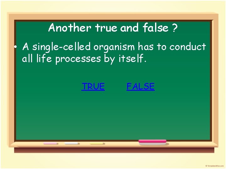 Another true and false ? • A single-celled organism has to conduct all life