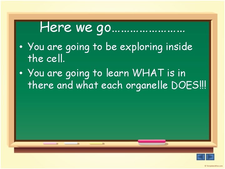 Here we go………… • You are going to be exploring inside the cell. •