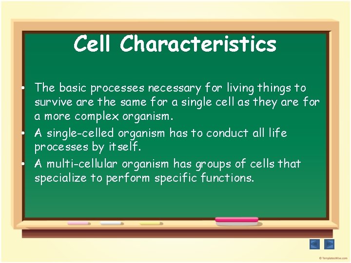 Cell Characteristics • The basic processes necessary for living things to survive are the
