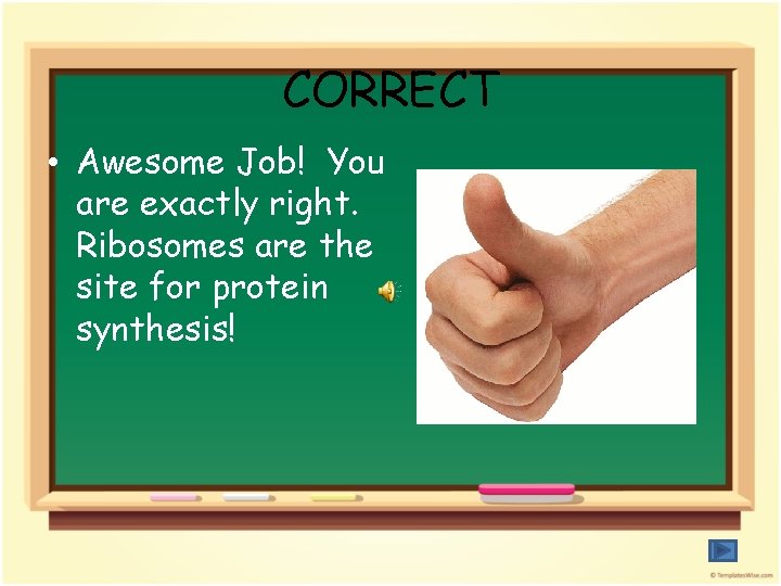 CORRECT • Awesome Job! You are exactly right. Ribosomes are the site for protein