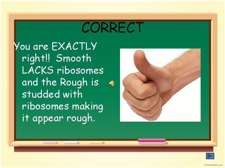 CORRECT You are EXACTLY right!! Smooth LACKS ribosomes and the Rough is studded with
