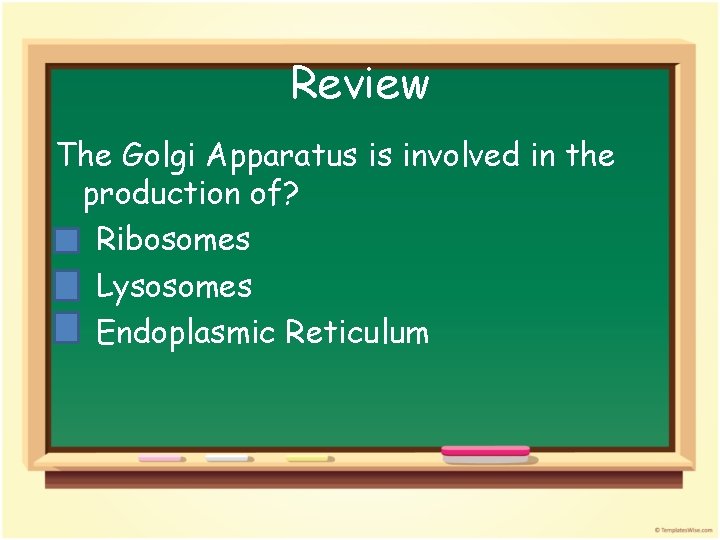 Review The Golgi Apparatus is involved in the production of? a. Ribosomes b. Lysosomes