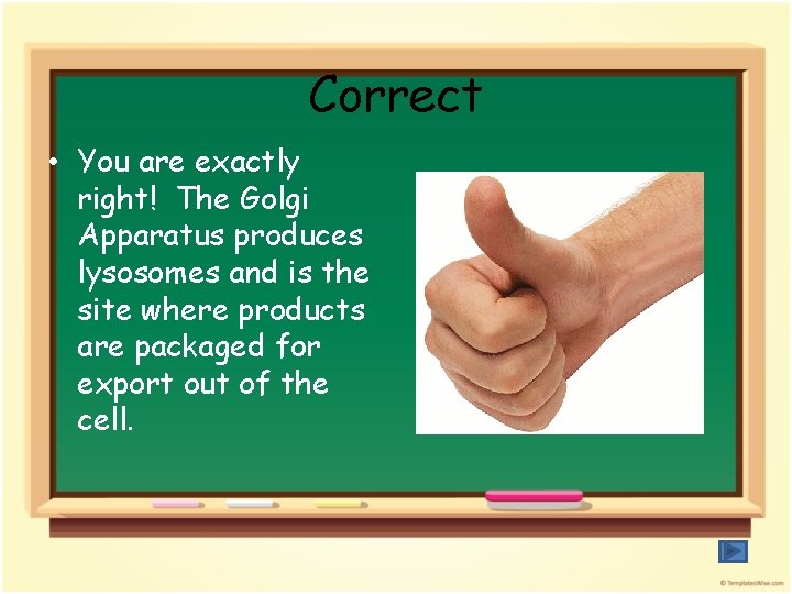 Correct • You are exactly right! The Golgi Apparatus produces lysosomes and is the