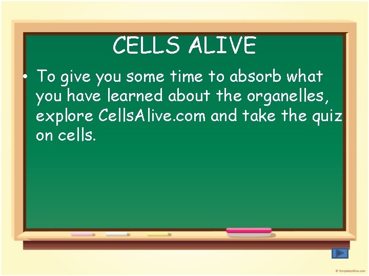 CELLS ALIVE • To give you some time to absorb what you have learned