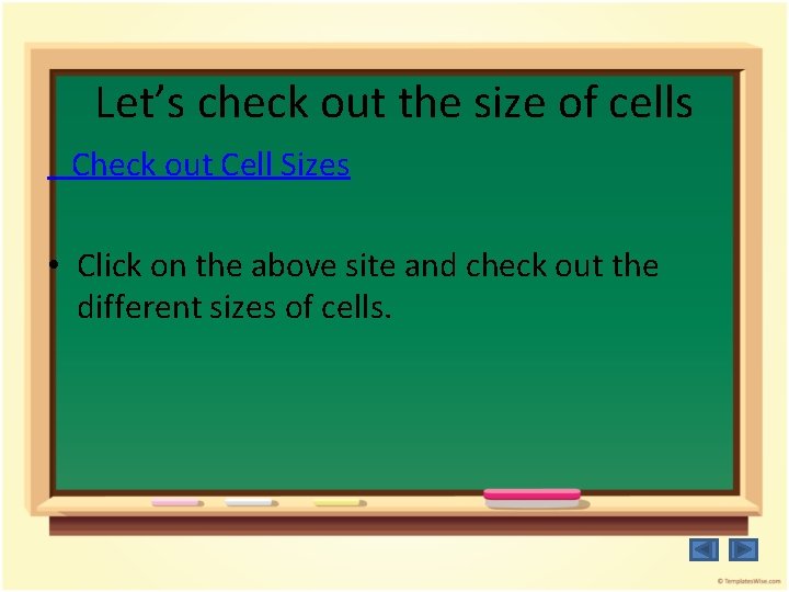 Let’s check out the size of cells Check out Cell Sizes • Click on