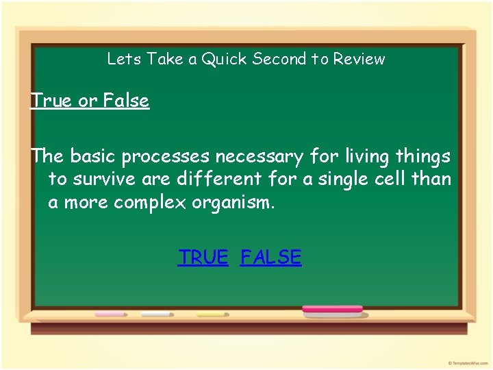 Lets Take a Quick Second to Review True or False The basic processes necessary