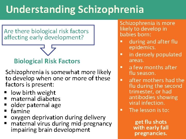 Understanding Schizophrenia Are there biological risk factors affecting early development? Biological Risk Factors Schizophrenia