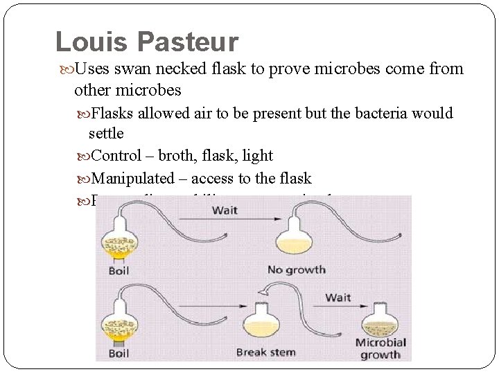 Louis Pasteur Uses swan necked flask to prove microbes come from other microbes Flasks