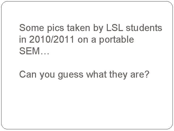 Some pics taken by LSL students in 2010/2011 on a portable SEM… Can you