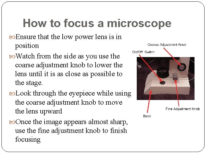 How to focus a microscope Ensure that the low power lens is in position