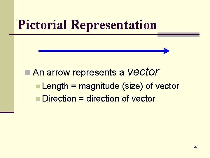 Pictorial Representation n An arrow represents a vector n Length = magnitude (size) of