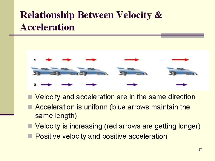 Relationship Between Velocity & Acceleration n Velocity and acceleration are in the same direction