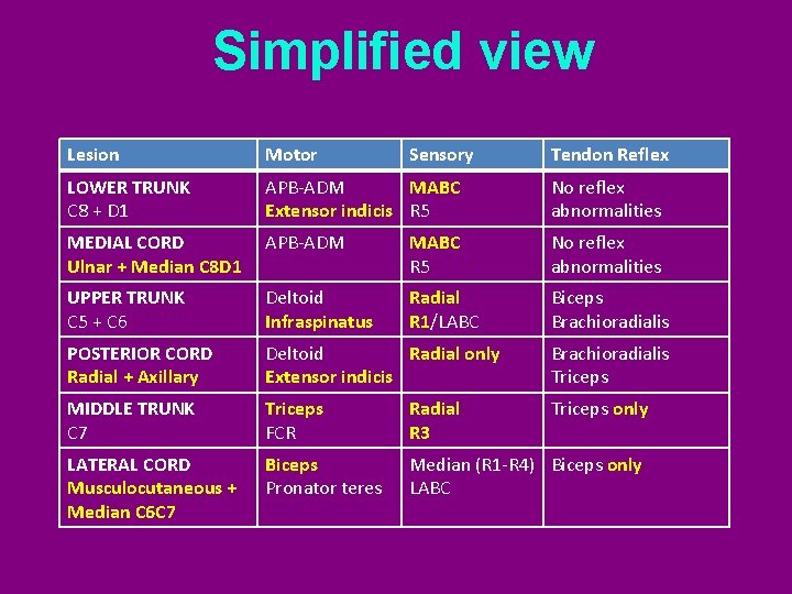Simplified view Lesion Motor Sensory Tendon Reflex LOWER TRUNK C 8 + D 1