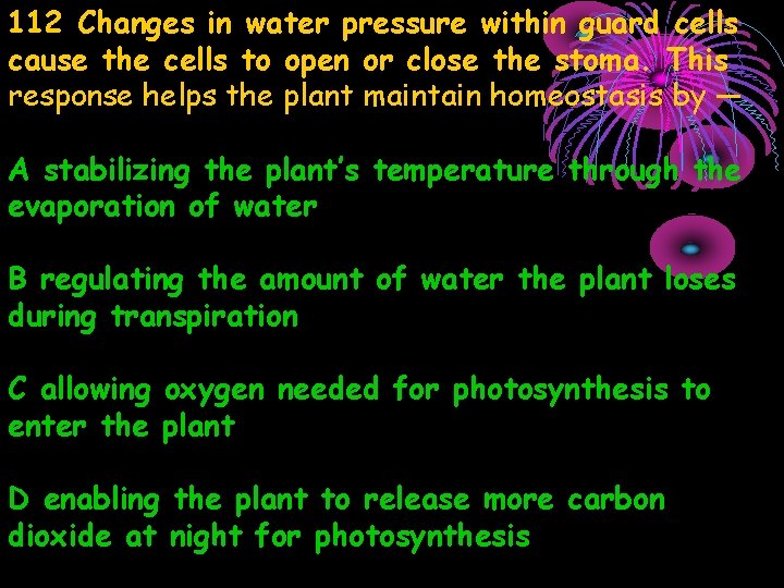 112 Changes in water pressure within guard cells cause the cells to open or