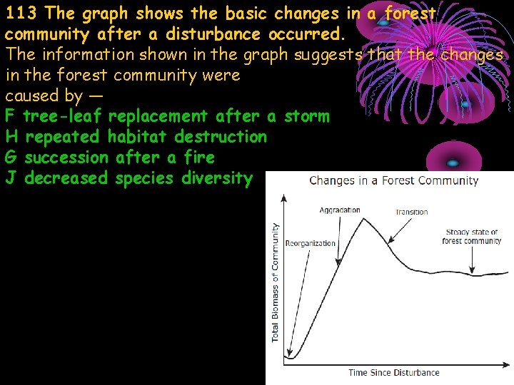 113 The graph shows the basic changes in a forest community after a disturbance