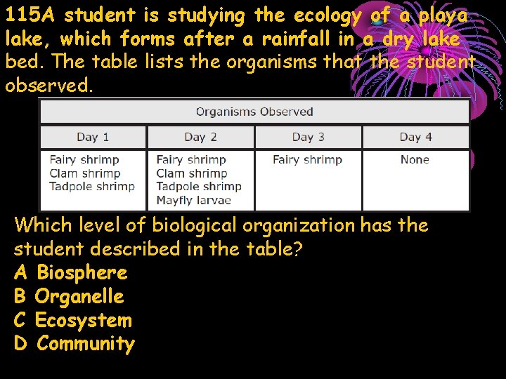 115 A student is studying the ecology of a playa lake, which forms after