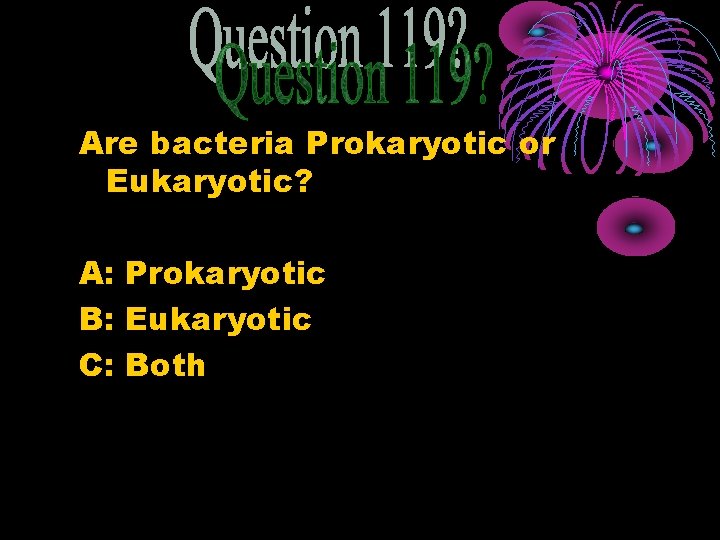 Are bacteria Prokaryotic or Eukaryotic? A: Prokaryotic B: Eukaryotic C: Both 