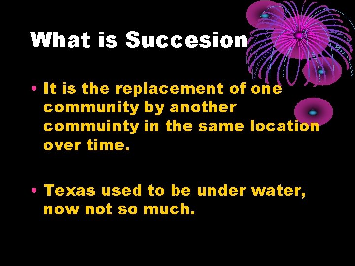 What is Succesion • It is the replacement of one community by another commuinty