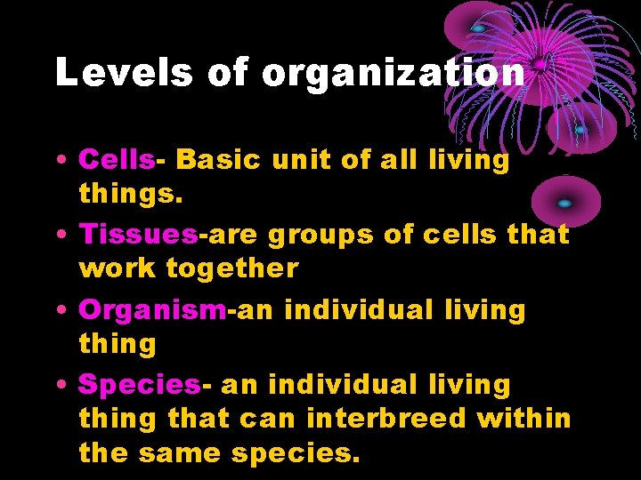 Levels of organization • Cells- Basic unit of all living things. • Tissues-are groups