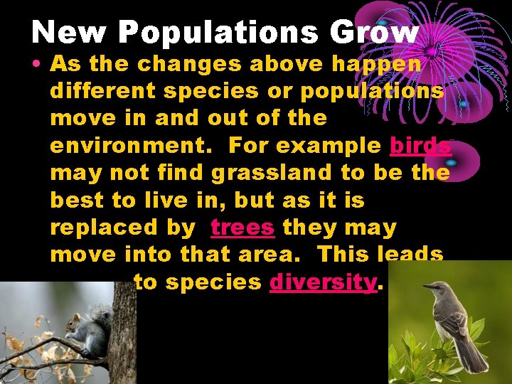 New Populations Grow • As the changes above happen different species or populations move