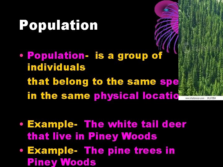 Population • Population- is a group of individuals that belong to the same species