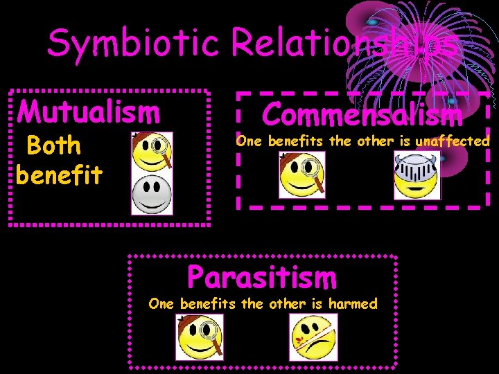 Symbiotic Relationships Mutualism Both benefit Commensalism One benefits the other is unaffected Parasitism One