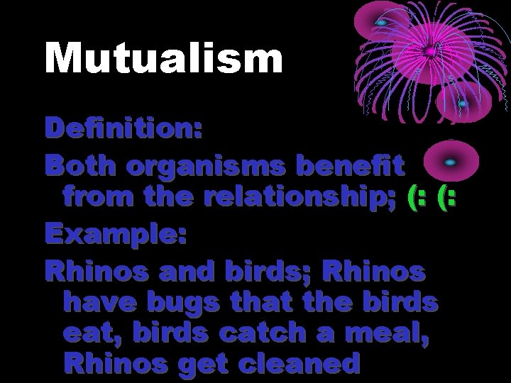 Mutualism Definition: Both organisms benefit from the relationship; (: (: Example: Rhinos and birds;