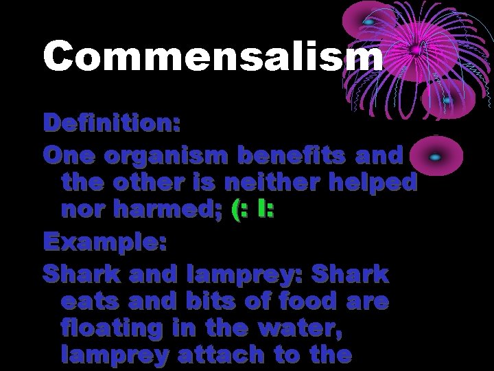 Commensalism Definition: One organism benefits and the other is neither helped nor harmed; (: